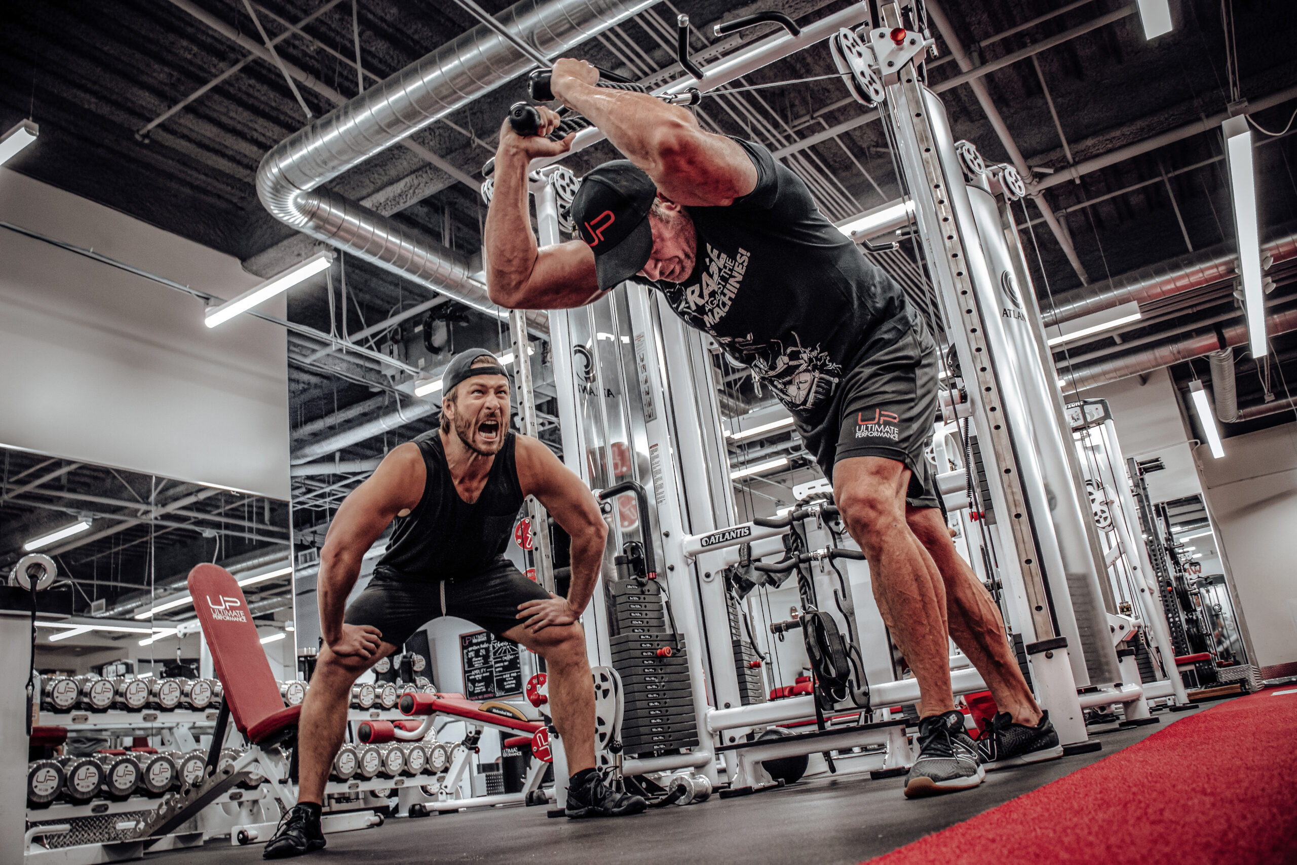  | Ultimate Performance