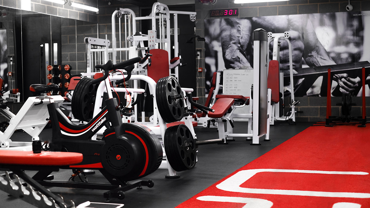  | Ultimate Performance