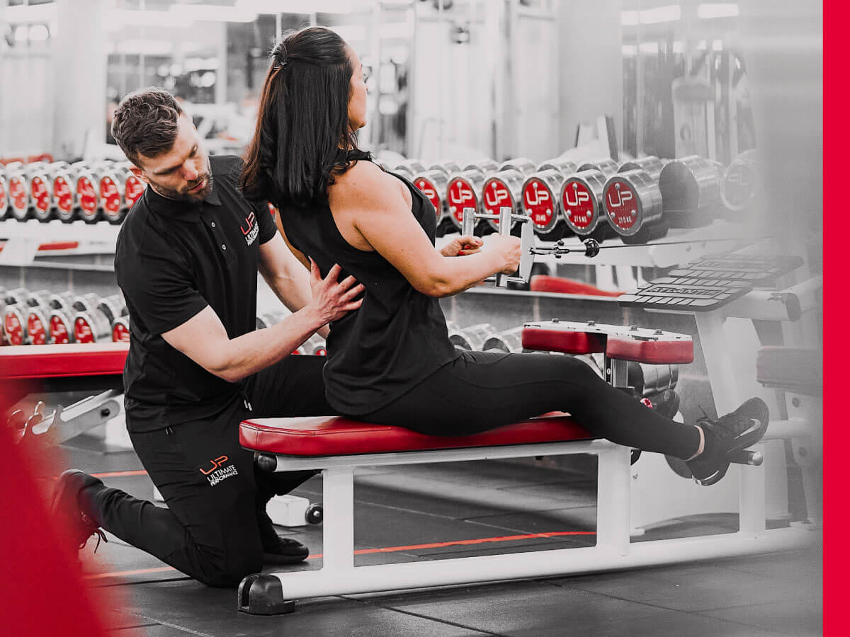 | Ultimate Performance | Ultimate Performance