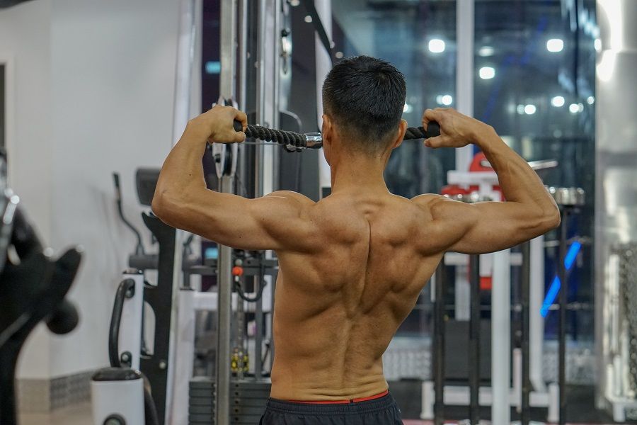  | Ultimate Performance