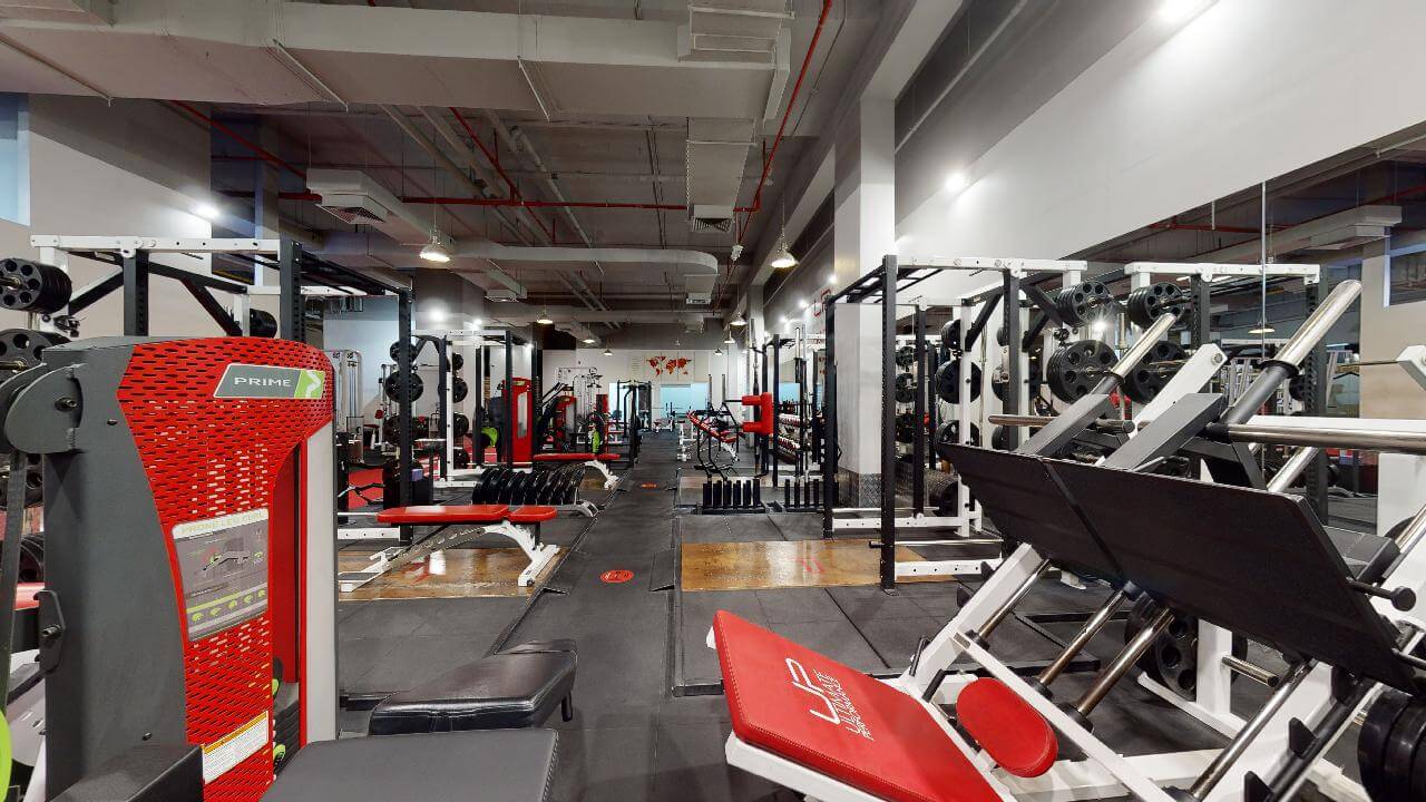  | Ultimate Performance