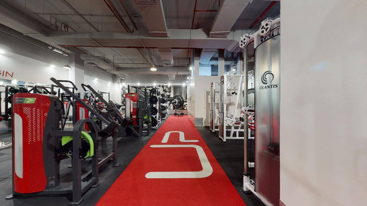  | Ultimate Performance