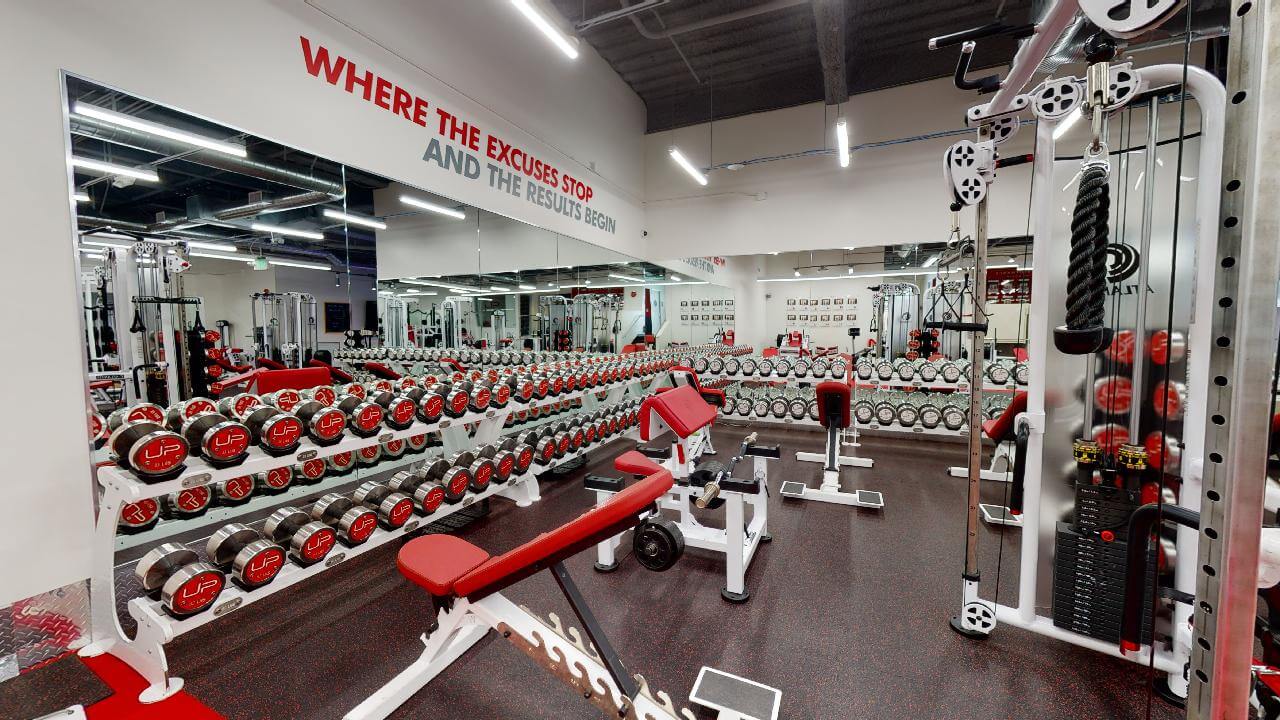  | Ultimate Performance