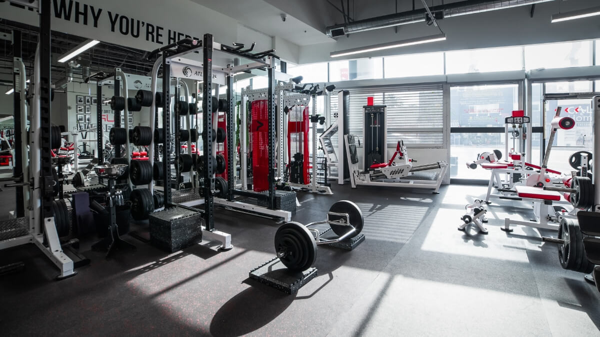  | Ultimate Performance