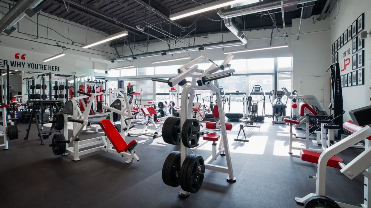  | Ultimate Performance