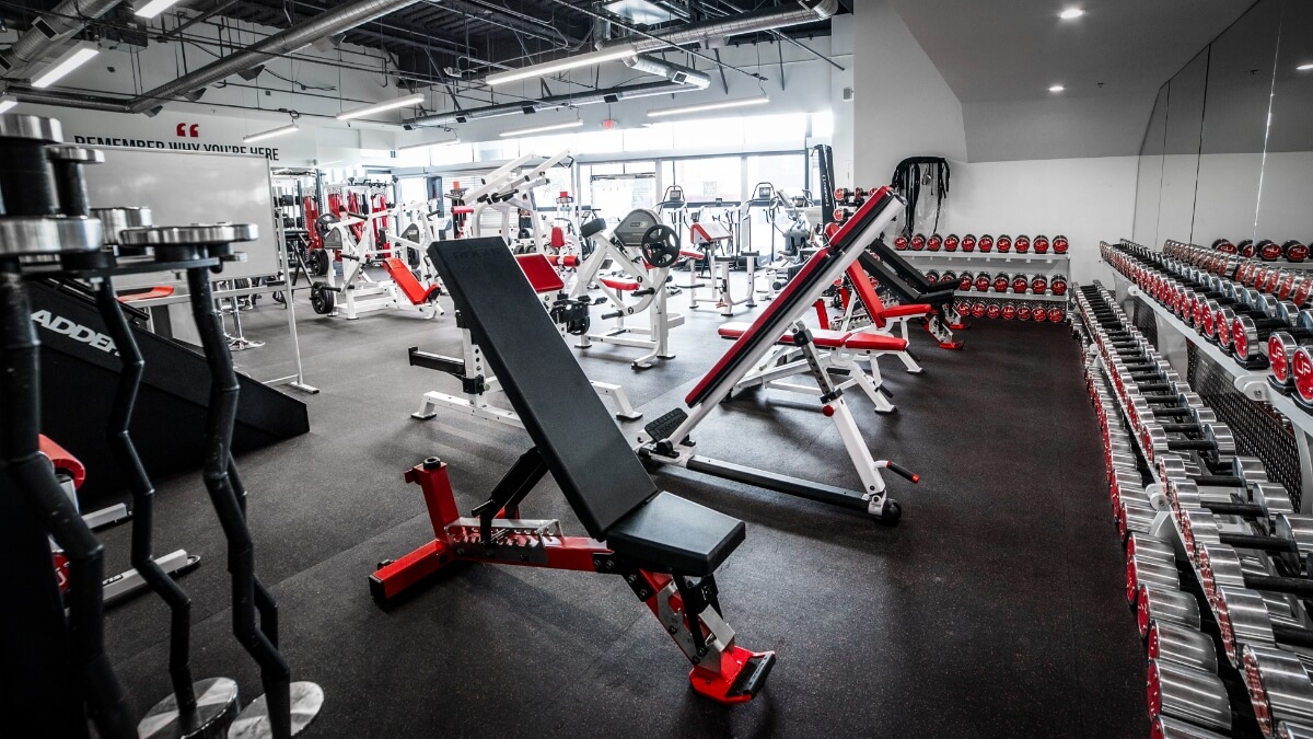  | Ultimate Performance