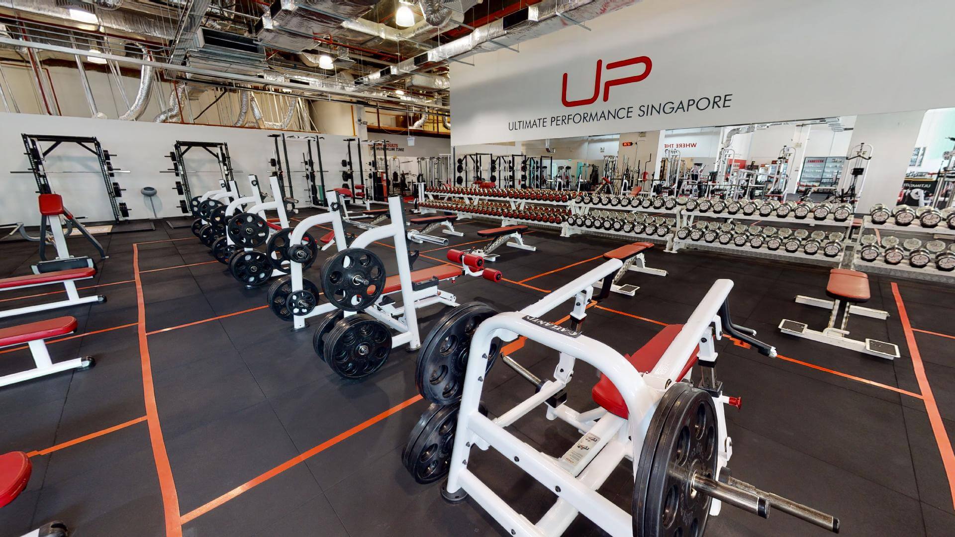  | Ultimate Performance