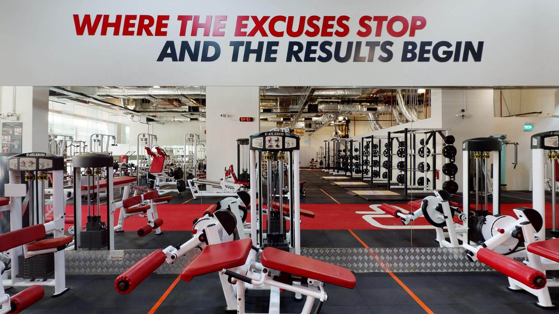  | Ultimate Performance