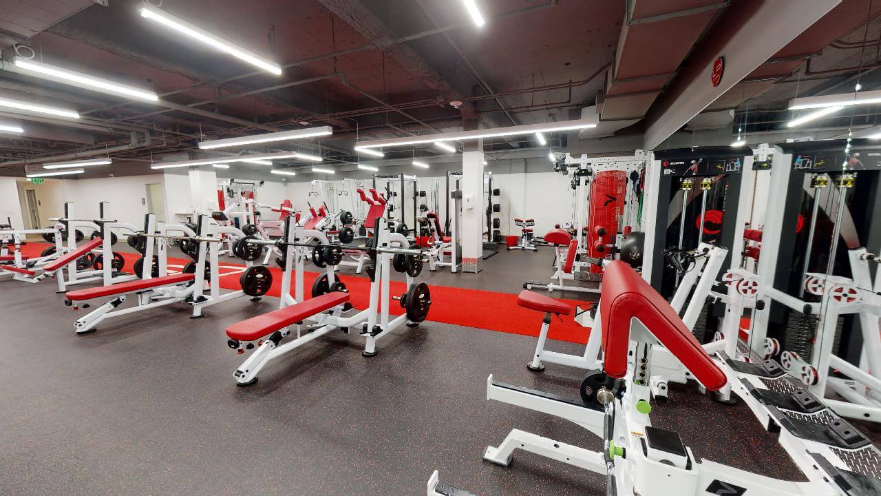  | Ultimate Performance