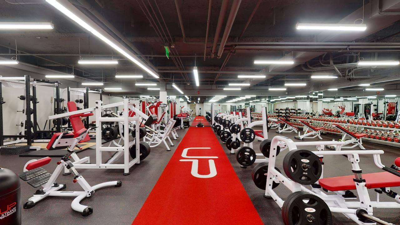  | Ultimate Performance