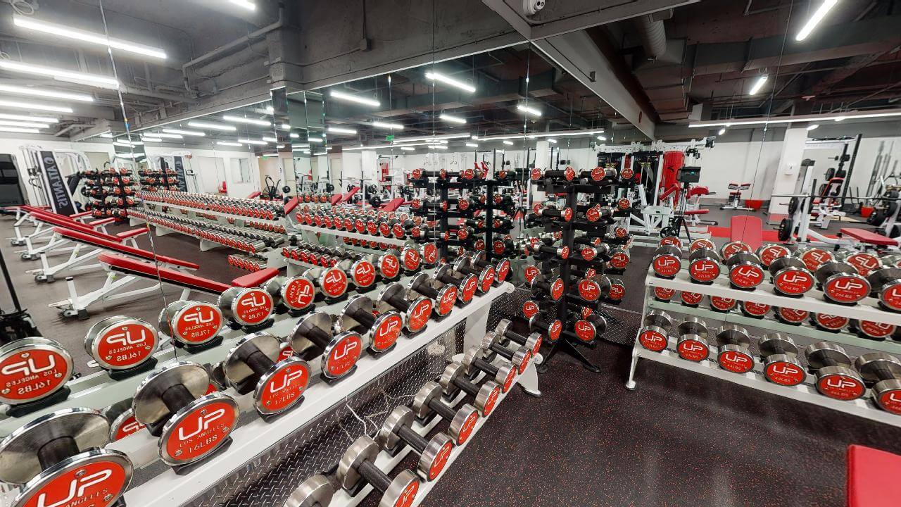  | Ultimate Performance