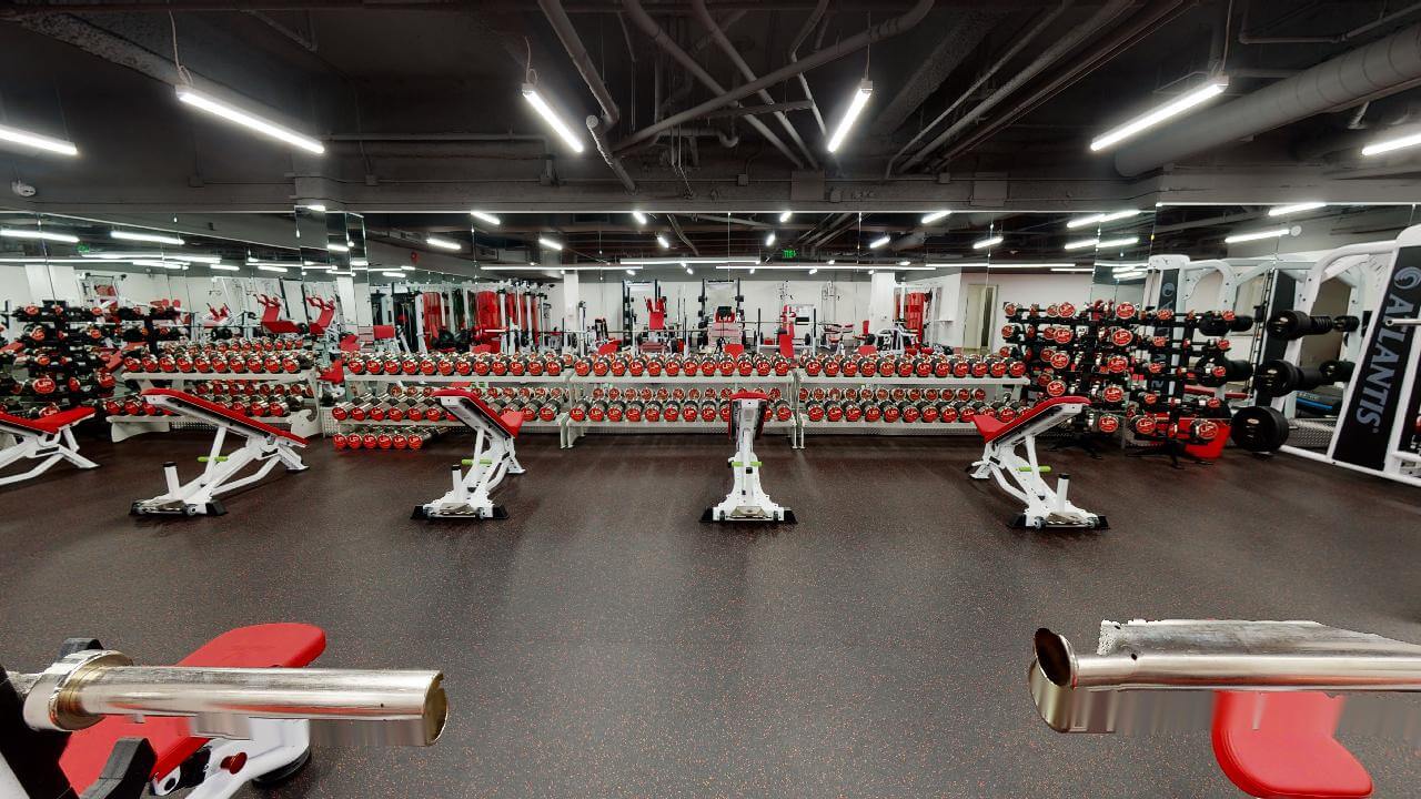  | Ultimate Performance