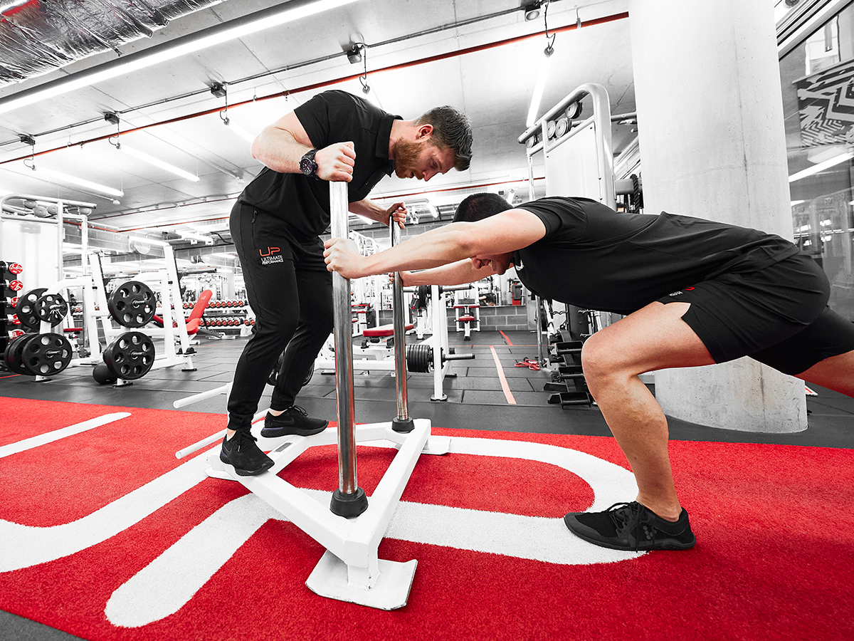  | Ultimate Performance