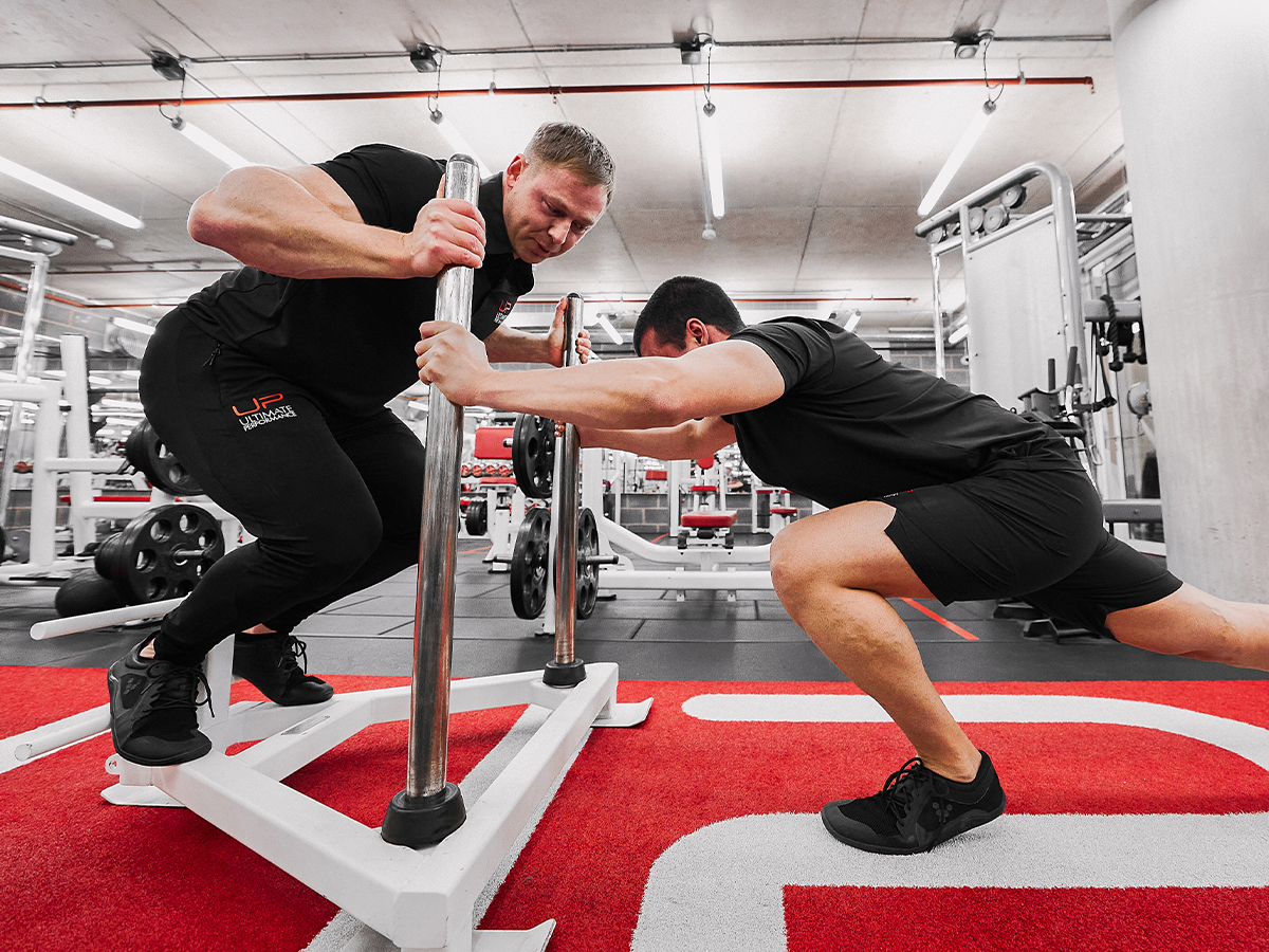  | Ultimate Performance