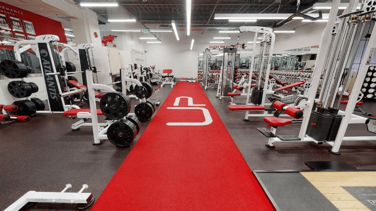  | Ultimate Performance