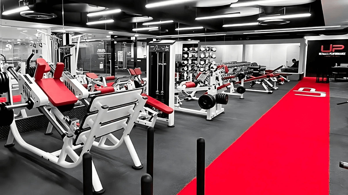  | Ultimate Performance