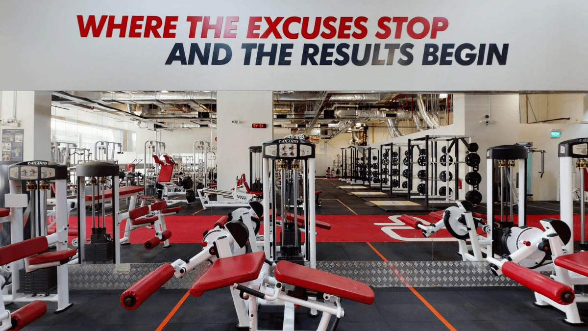  | Ultimate Performance