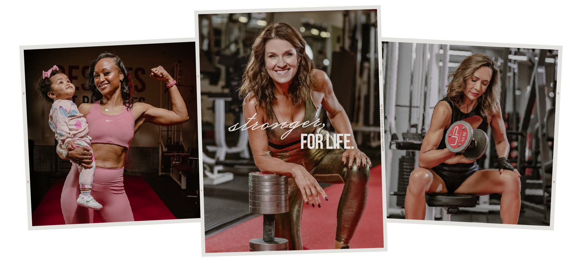  | Ultimate Performance